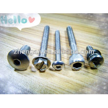 stainless steel customized screw